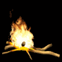 lagerfeuer.gif (7240 Byte)